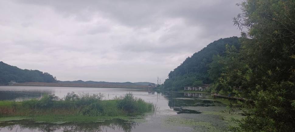 어우실지 입질이좋아요 80프로 유지하라네요 (유료터정보 - 유료터점주조황)
