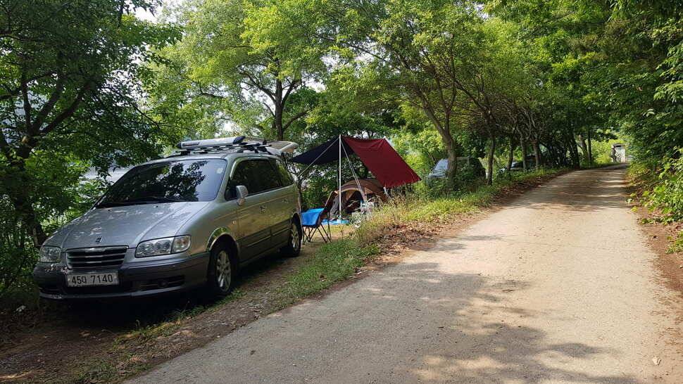 당진 가교리낚시터 6월 둘째주 조황 (유료터정보 - 유료터점주조황)