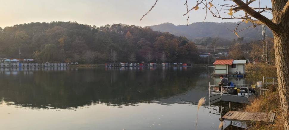 11월의 첫주말 양평 힐링 수곡낚시터 조황 붕어 방류 (유료터정보 - 유료터점주조황)