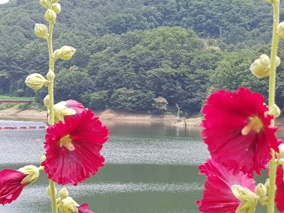 아름다운계곡속에자리잡은장계지에서 (유료터정보 - 유료터점주조황)