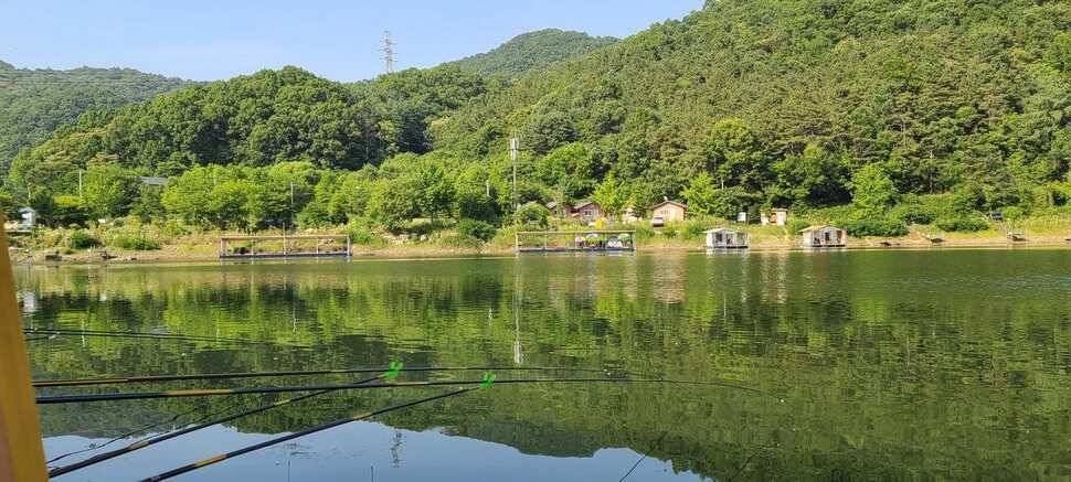 피서낚시 양평 수곡낚시터 월요일 주초조황 및 금일 붕어방류 완료 (유료터정보 - 유료터점주조황)