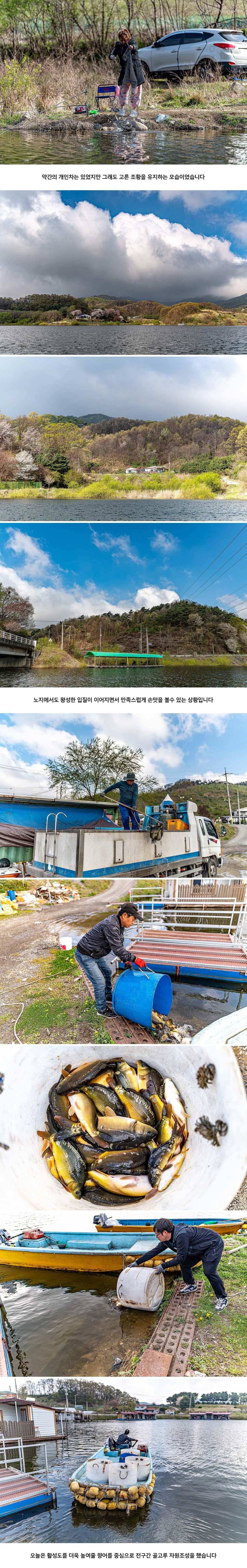 안성 두메낚시터 4월 18일 조황정보 (유료터정보 - 유료터점주조황)