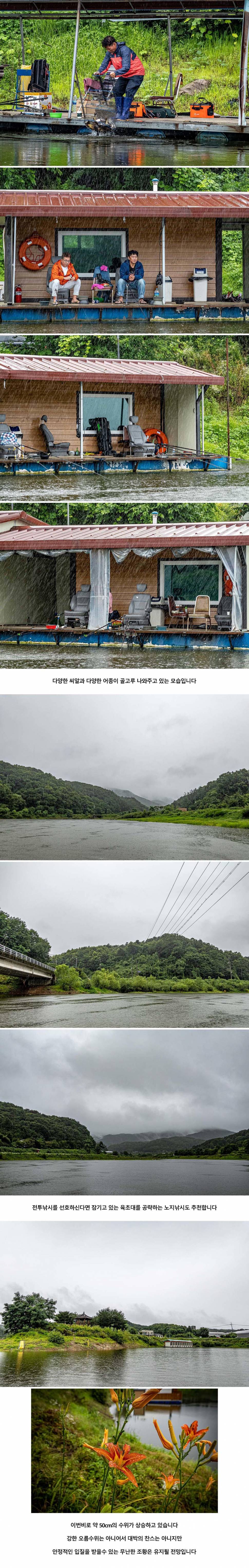 안성 두메낚시터 7월 14일 조황정보 (유료터정보 - 유료터점주조황)