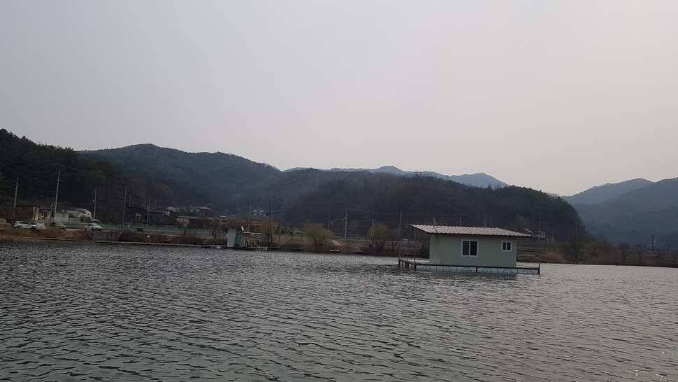 바람이 심하게부네요 기온차가 심하고 고기도 마릿수 입니다 주말은 따뜻하다니 다행입니다 손맛보러 오세요 (유료터정보 - 유료터점주조황)