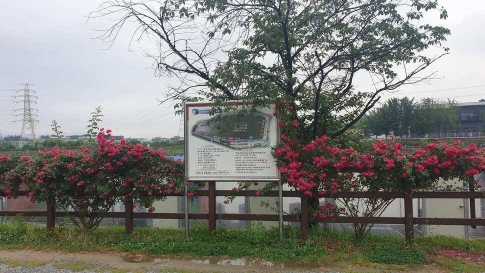 배수없는 거청낚시터 6월 11일 붕어조황 (유료터정보 - 유료터점주조황)