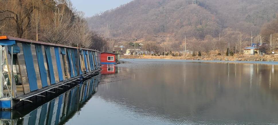 겨울붕어 물낚시 수곡낚시터 2월첫주 주후반주말 조황 및 붕어방류 (유료터정보 - 유료터점주조황)