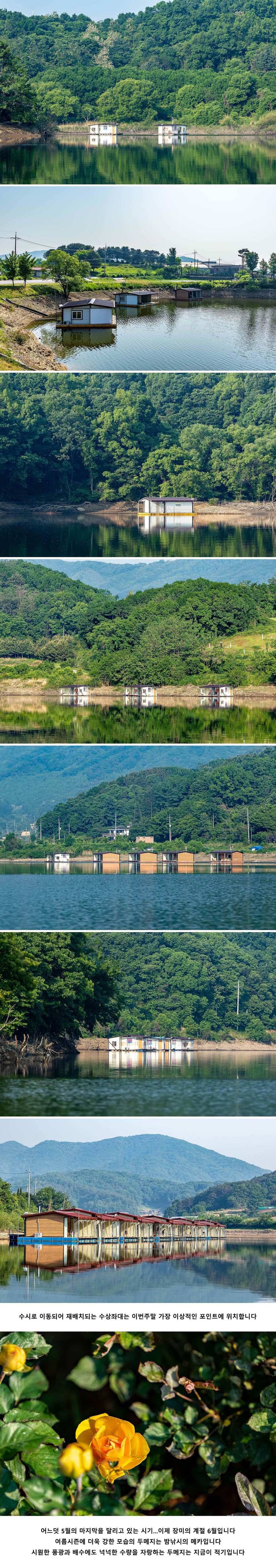 안성 두메낚시터 5월 24일 조황정보 (유료터정보 - 유료터점주조황)