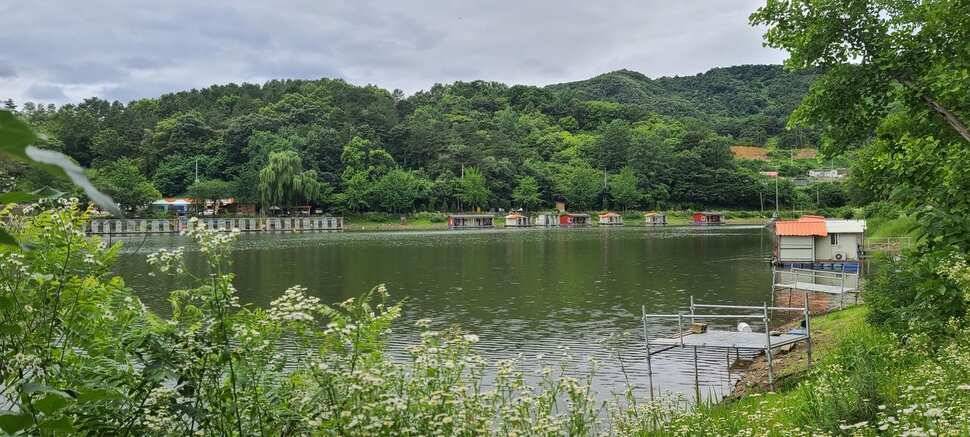 양평낚시터 힐링 수곡낚시터 7월 출발이 괜찬습니다 (유료터정보 - 유료터점주조황)