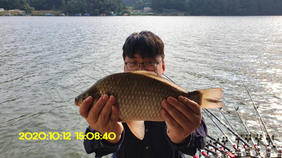 신원낚시터10월20일 토종붕어 4짜와 덩어리들 사진입니다 (유료터정보 - 유료터점주조황)