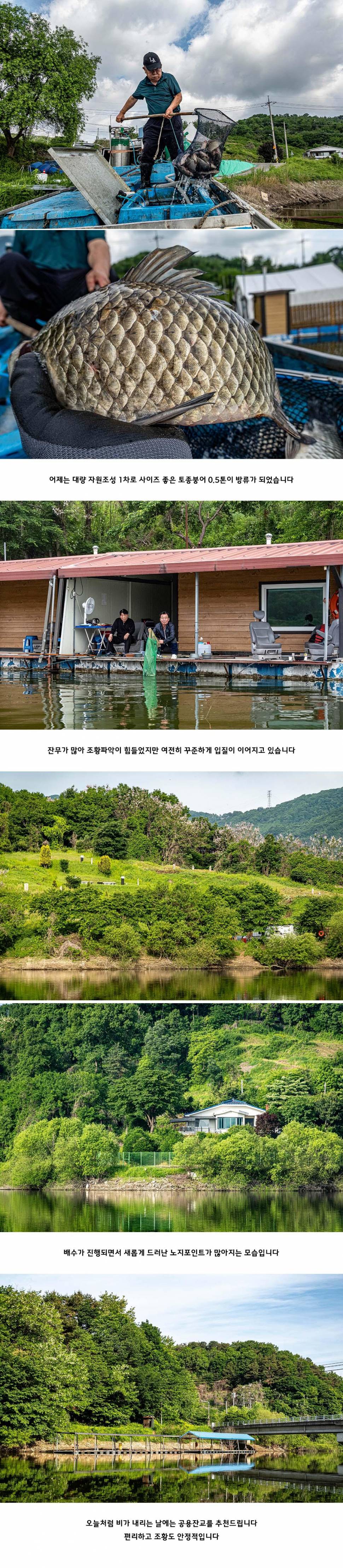 안성 두메낚시터 5월 22일 조황정보 (유료터정보 - 유료터점주조황)