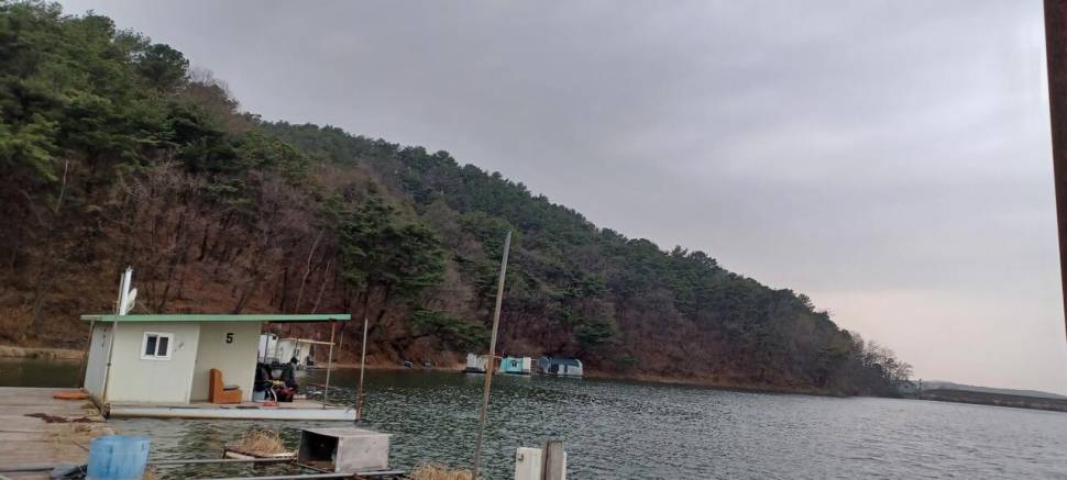 어우실지 붕어방류 (유료터정보 - 유료터점주조황)