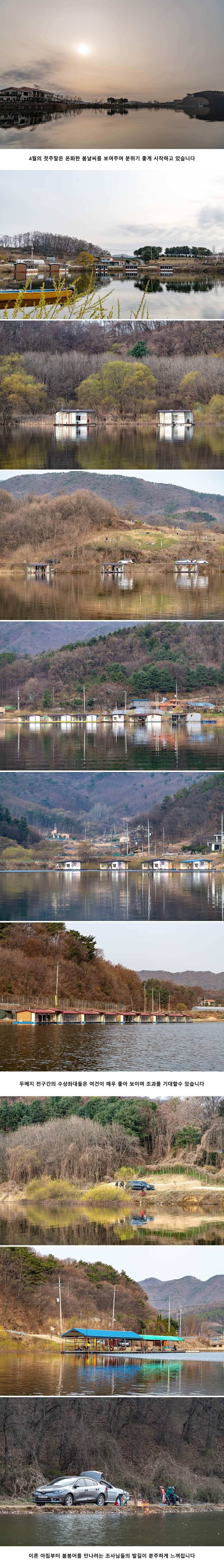 안성 두메낚시터 4월 6일 조황정보 (유료터정보 - 유료터점주조황)
