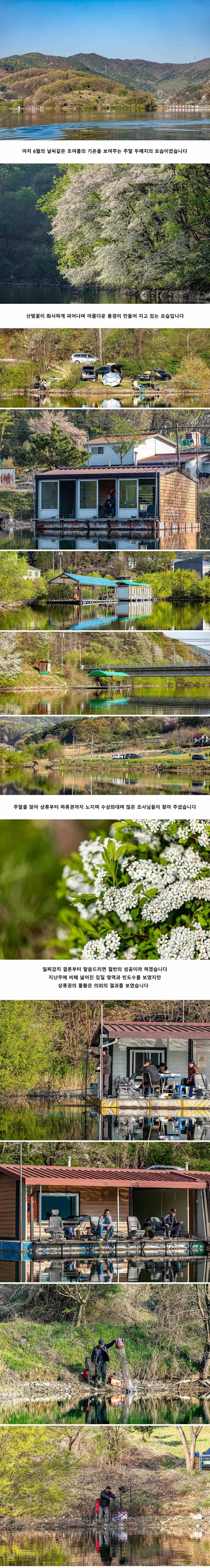 안성 두메낚시터 4월 14일 조황정보 (유료터정보 - 유료터점주조황)