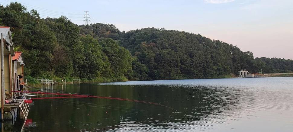 추석연휴 수곡낚시터 정상영업 금일 붕어방류 및 조황 안내 (유료터정보 - 유료터점주조황)