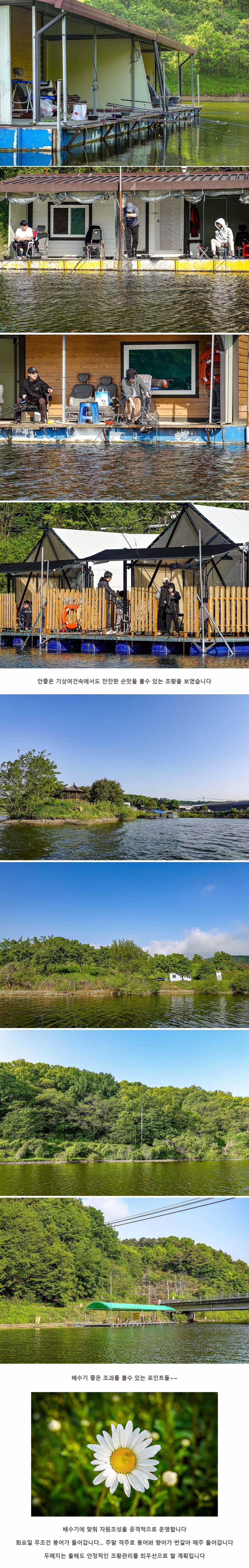 안성 두메낚시터 5월 5일 조황정보 (유료터정보 - 유료터점주조황)