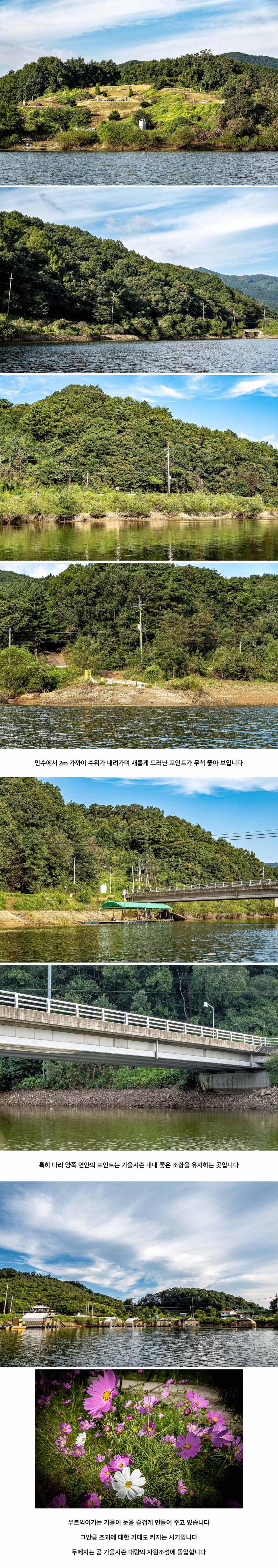안성 두메낚시터 9월 18일 조황정보 (유료터정보 - 유료터점주조황)