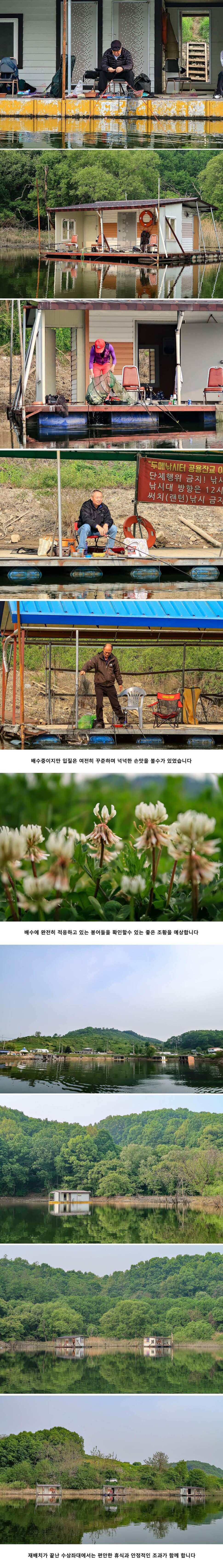 안성 두메낚시터 5월 15일 조황정보 (유료터정보 - 유료터점주조황)