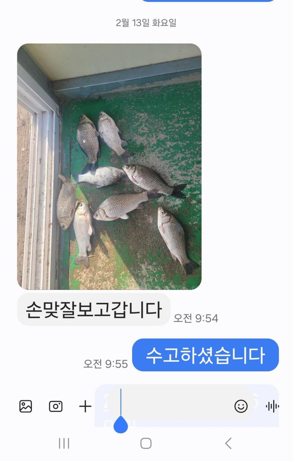 2024년 02월 셋째주 조황정보 용담낚시터사암지 (유료터정보 - 유료터점주조황)