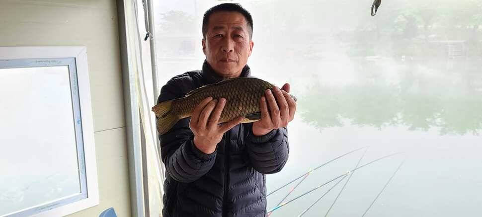 양평낚시터 힐링 수곡낚시터 56 주중조황 및 붕어 방류 안내 (유료터정보 - 유료터점주조황)