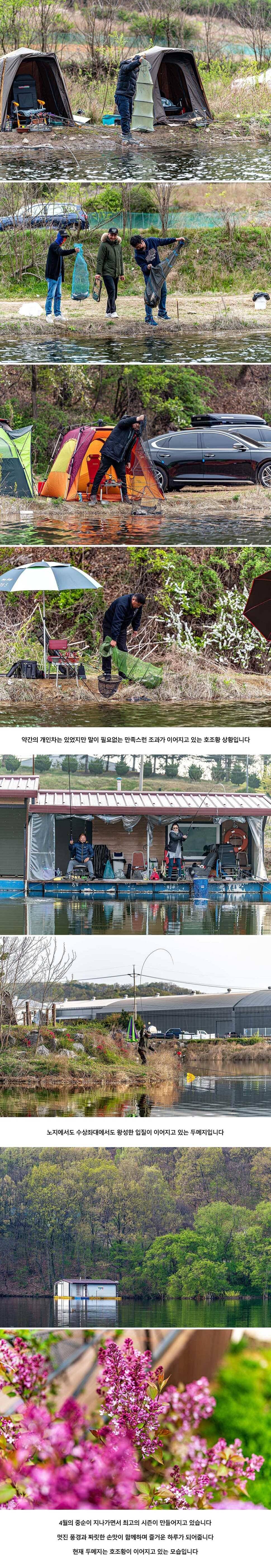 안성 두메낚시터 4월 19일 조황정보 (유료터정보 - 유료터점주조황)