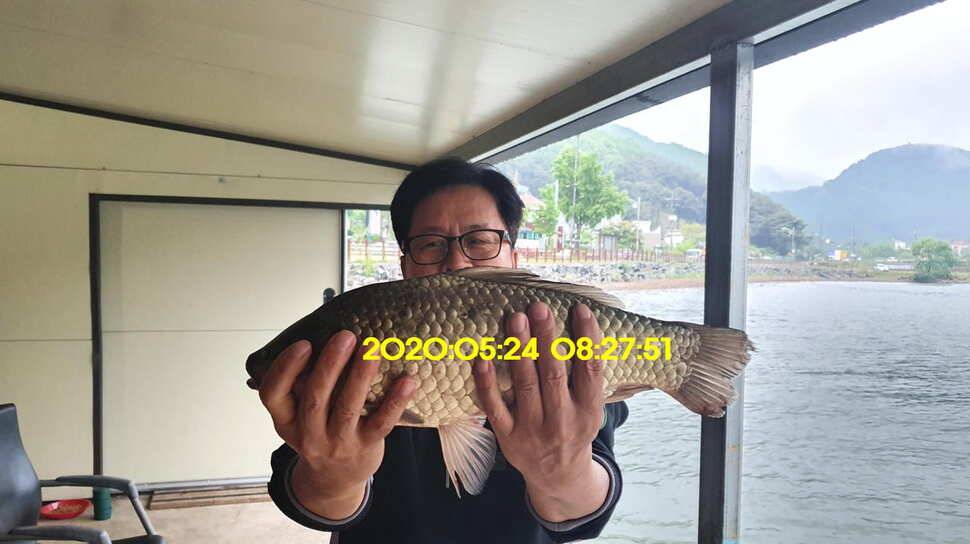 신원낚시터 5월25일 토종대물 43짜리와 덩어리 사진입니다 (유료터정보 - 유료터점주조황)