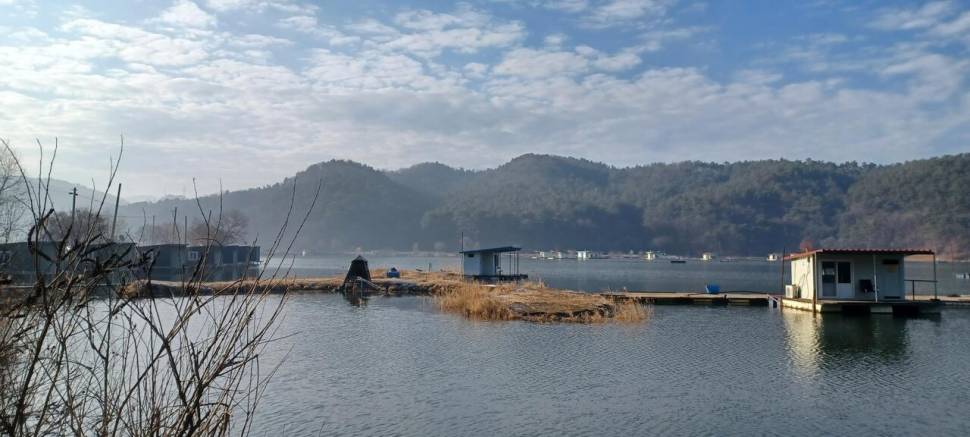 어우실지 서서히 움직임이 시작되네요 (유료터정보 - 유료터점주조황)