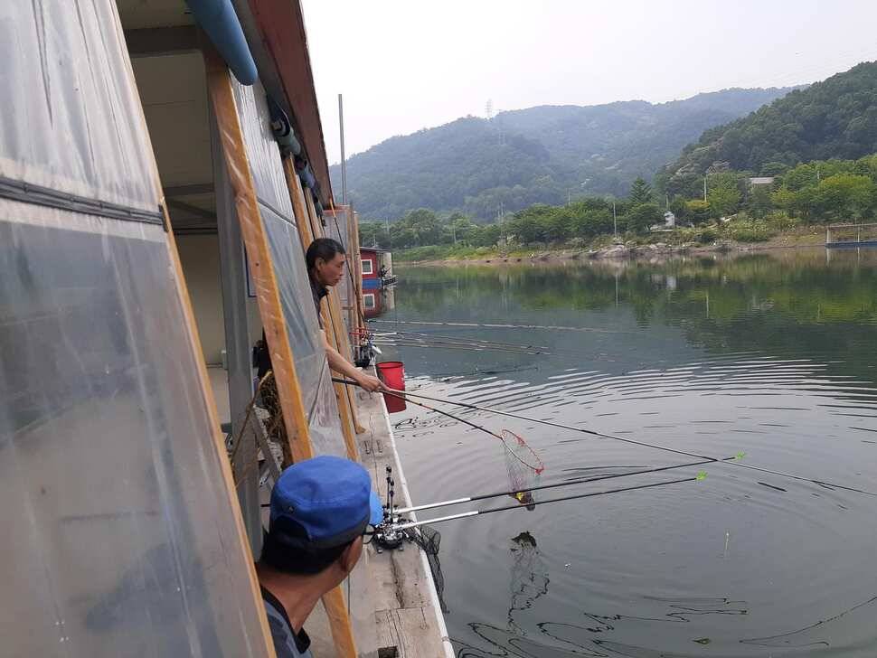 양평낚시터 힐링 수곡낚시터 수목요일 주중 조황도 고르게 나와주고 있습니다 (유료터정보 - 유료터점주조황)