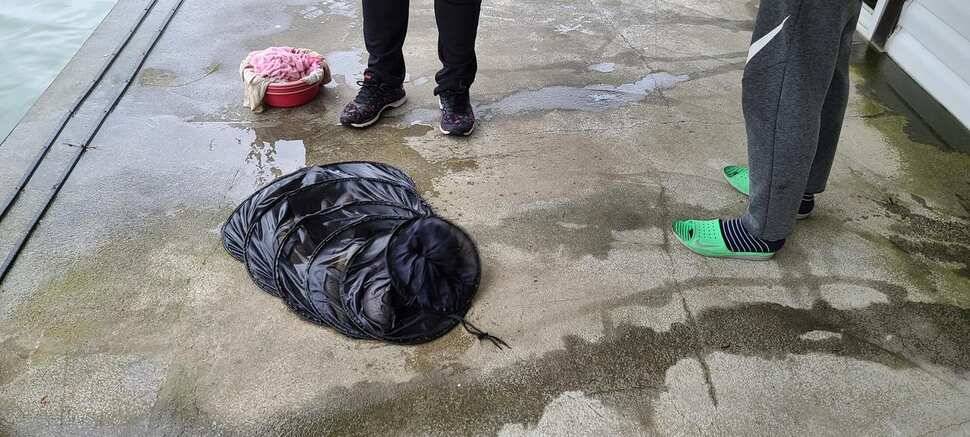 공주 고성낚시터 입니다 (유료터정보 - 유료터점주조황)