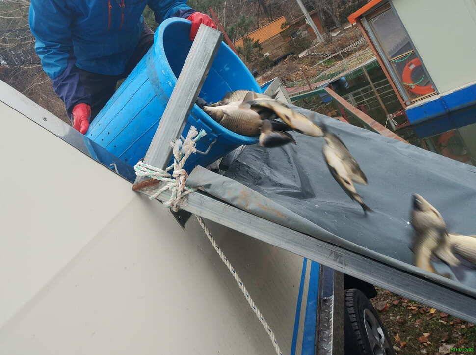 겨울붕어낚시 양평 수곡낚시터 고르게 붕어들은 나와주네요 (유료터정보 - 유료터점주조황)
