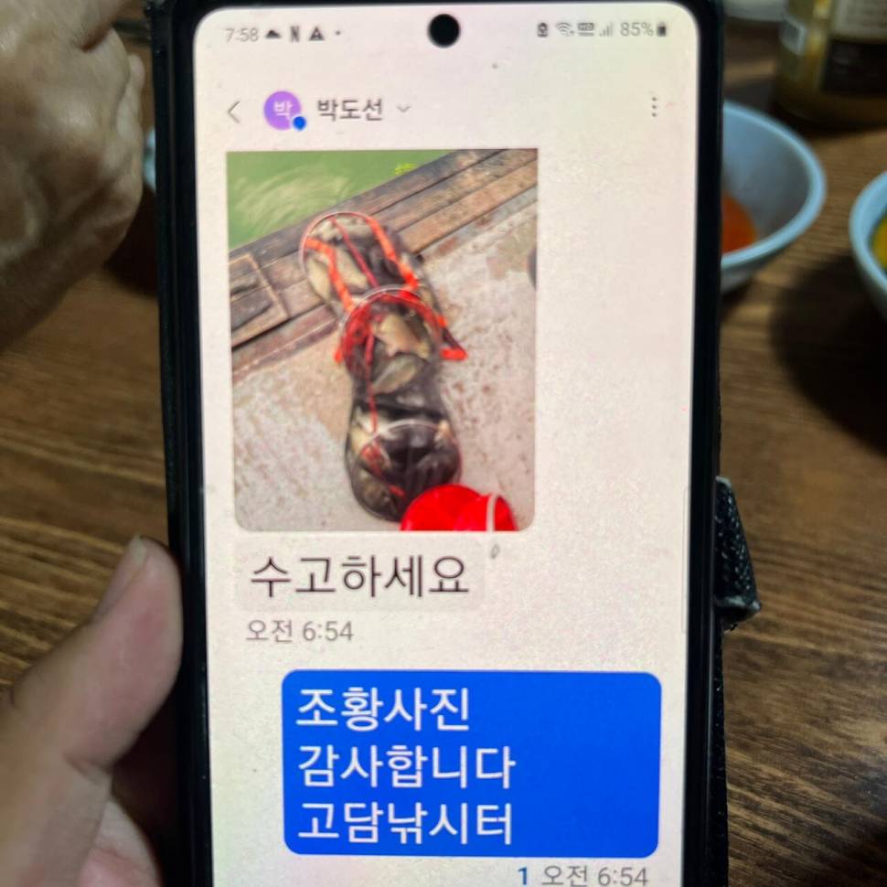 주말 붕어 방류 와 대박 조황입니다 (유료터정보 - 유료터점주조황)