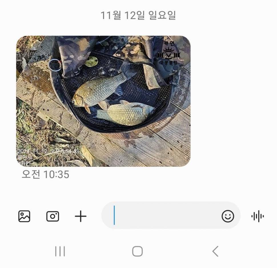 2023년 11월 셋째주 조황정보 용담낚시터사암지 (유료터정보 - 유료터점주조황)