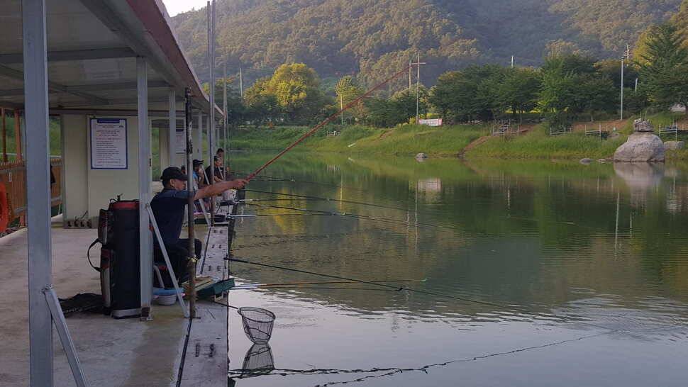 양평 힐링 수곡낚시터 8월 29일 조황 및 붕어방류 안내 (유료터정보 - 유료터점주조황)