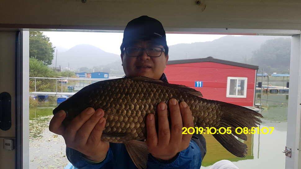 용인 신원낚시터 토종대물48짜리 구경하고 가시겠습니다 (유료터정보 - 유료터점주조황)