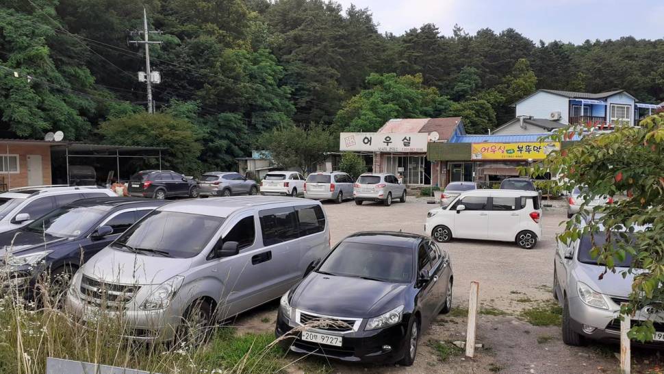 빗줄기가 시원하게 내리기전에는 조황이 별루네요 금주 비소삭이 많으니 주말에는 살아나겠지요 0318826500 (유료터정보 - 유료터점주조황)