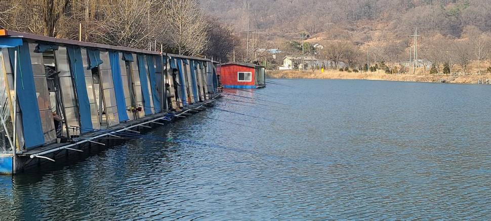 설명절 연휴 힐링 수곡낚시터 조황 및 붕어 방류 안내 (유료터정보 - 유료터점주조황)