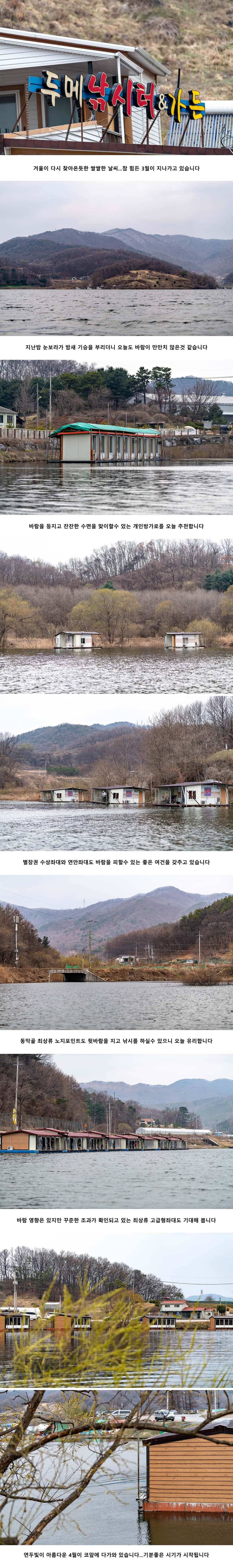 안성 두메낚시터 3월 31일 조황정보 (유료터정보 - 유료터점주조황)