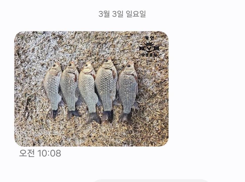 2024년 03월 첫째주 조황정보 붕어방류 (유료터정보 - 유료터점주조황)