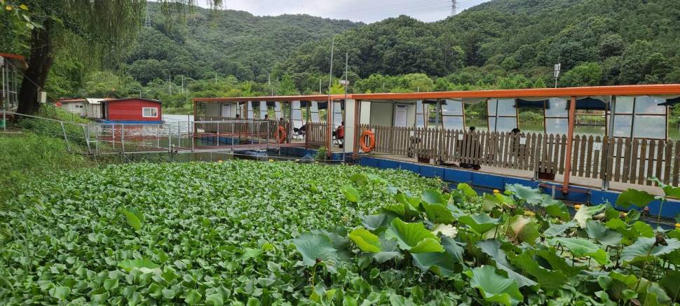 9월 첫날 양평 수곡낚시터 고르고 꾸준한 조황이며 금일 방류 완료 (유료터정보 - 유료터점주조황)