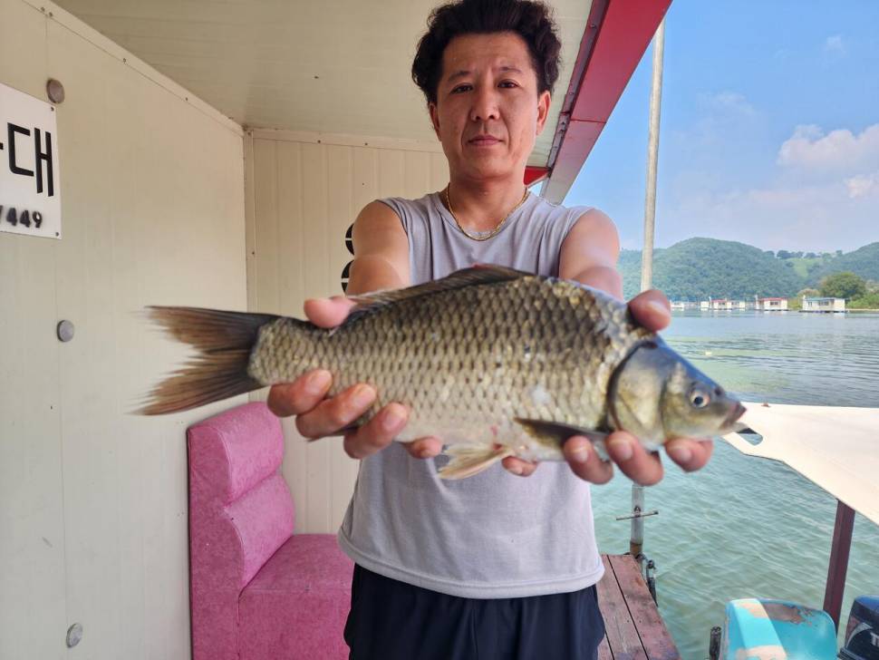 송전지 창신좌대 조황 (유료터정보 - 유료터점주조황)