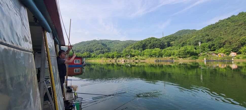 수곡낚시터 6월16일 주중 조황 및 금일 붕어 방류 완료하였습니다 (유료터정보 - 유료터점주조황)