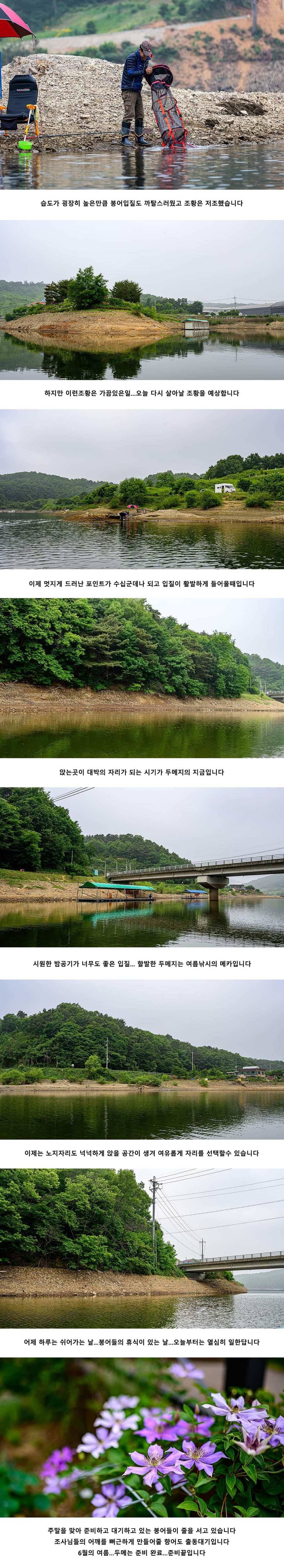 안성 두메낚시터 6월 5일 조황정보 (유료터정보 - 유료터점주조황)