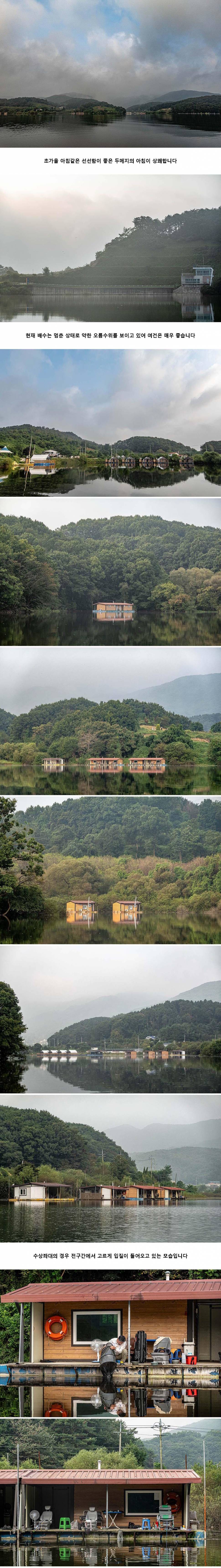 안성 두메낚시터 9월 19일 조황정보 (유료터정보 - 유료터점주조황)