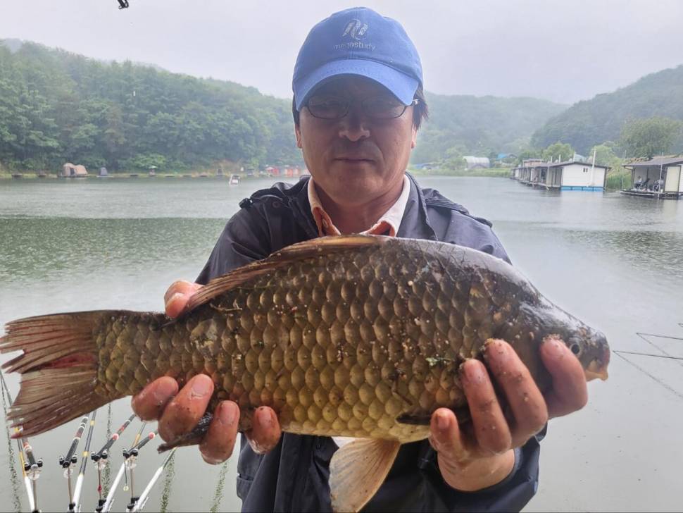 붕어 방류소식과 조황정보 전해드립니다 (유료터정보 - 유료터점주조황)