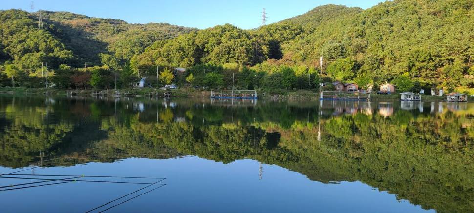 927 일요일 양평 수곡낚시터 조황 및 추석연휴 방류 안내 (유료터정보 - 유료터점주조황)