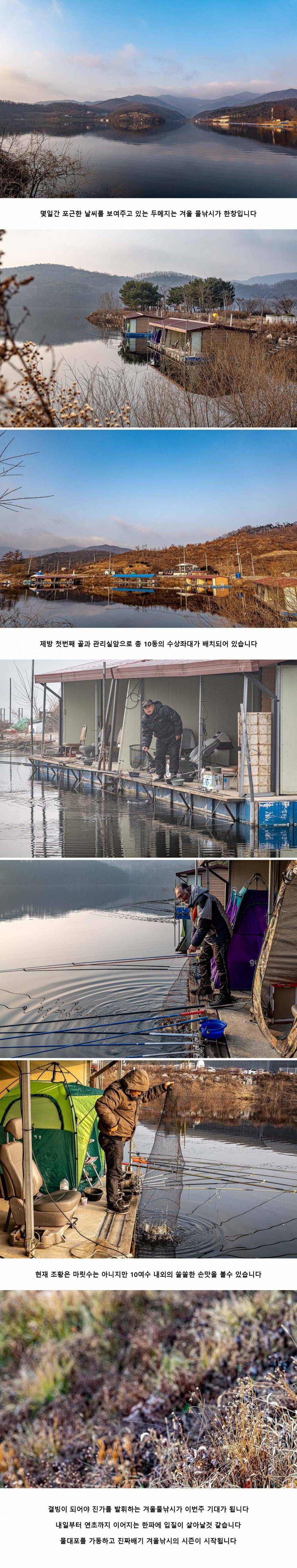 안성 두메낚시터 12월 29일 조황정보 (유료터정보 - 유료터점주조황)