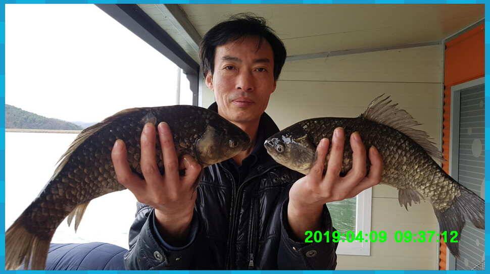 신원낚시터 토종대물 4짜 소식입니다 (유료터정보 - 유료터점주조황)