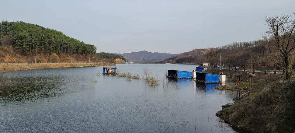 공주 고성낚시터 입니다 (유료터정보 - 유료터점주조황)