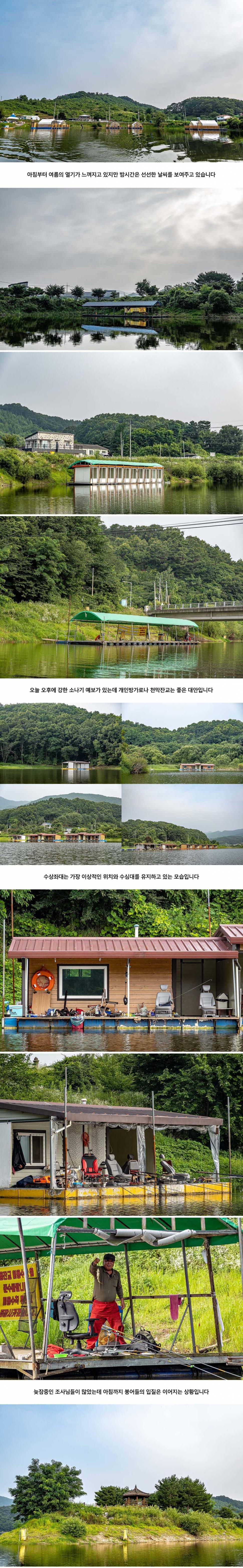 안성 두메낚시터 7월 17일 조황정보 (유료터정보 - 유료터점주조황)