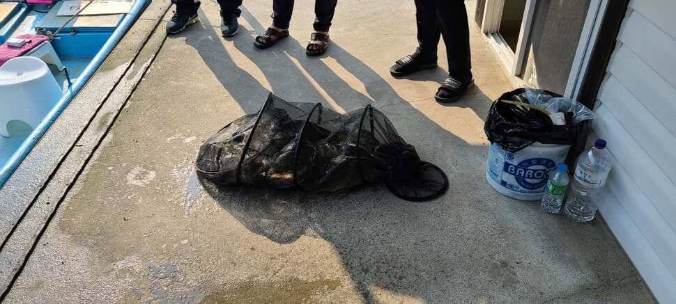 공주 고성낚시터 입니다 (유료터정보 - 유료터점주조황)