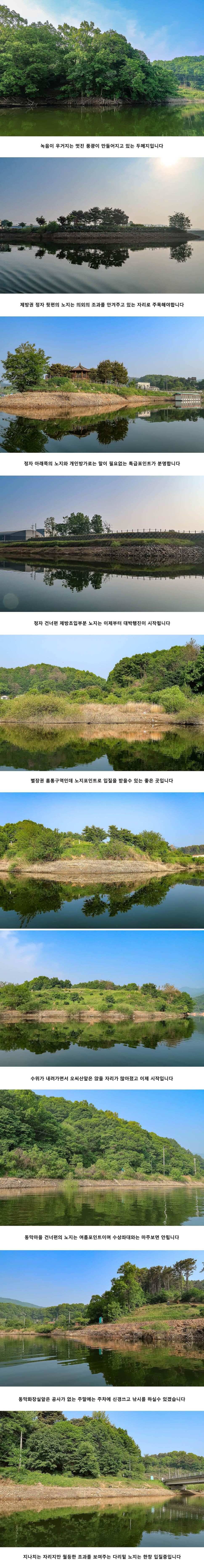 안성 두메낚시터 5월 16일 조황정보 (유료터정보 - 유료터점주조황)